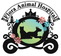 フローラ動物病院